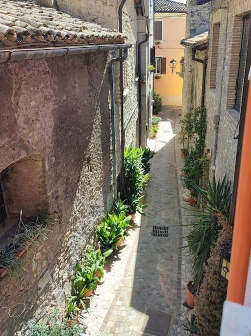 Apartamento Pink House Fara in Sabina Exterior foto